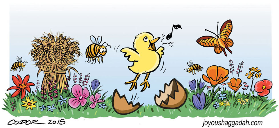 Haggadah_Spring-2015_Web